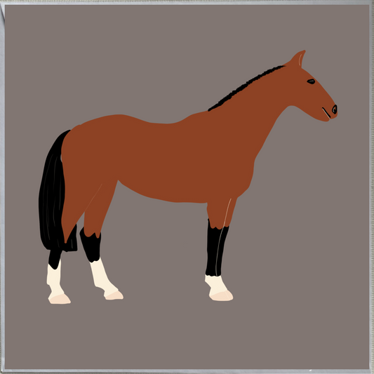 Horse Design Blank Greeting Card