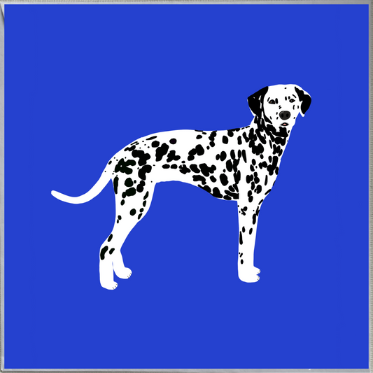 Dalmatian Dog Design Blank Greeting Card