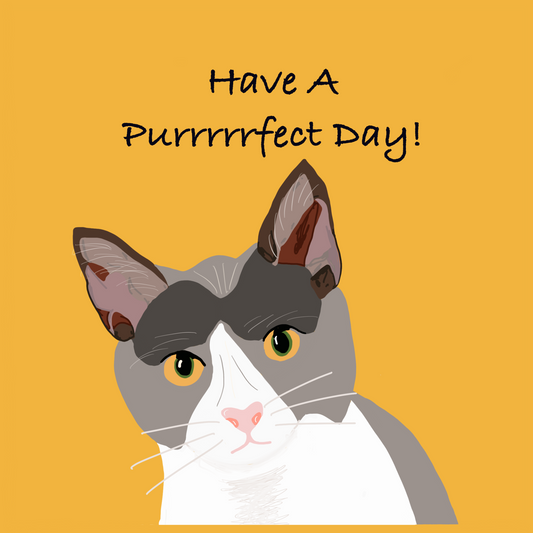 Cat Design Have a Purrrrrfect Day Greeting Card