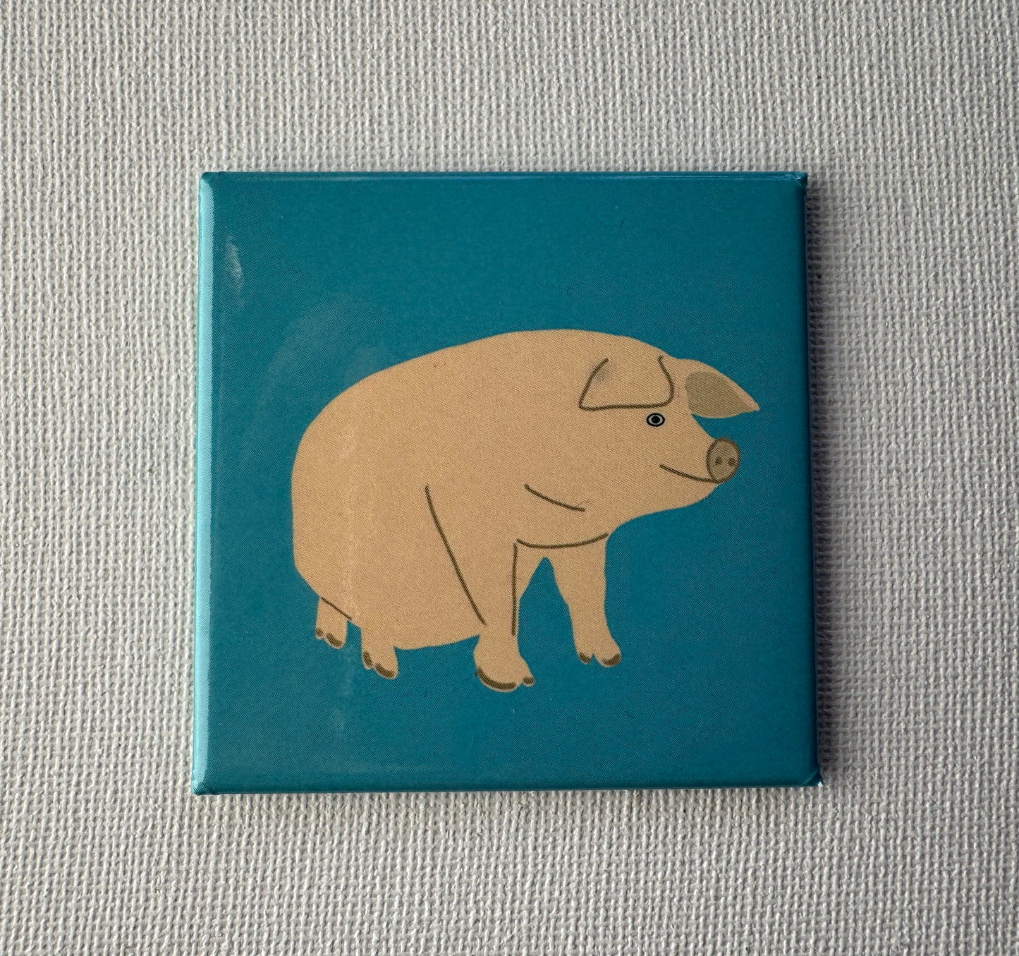 Pig Fridge Magnet
