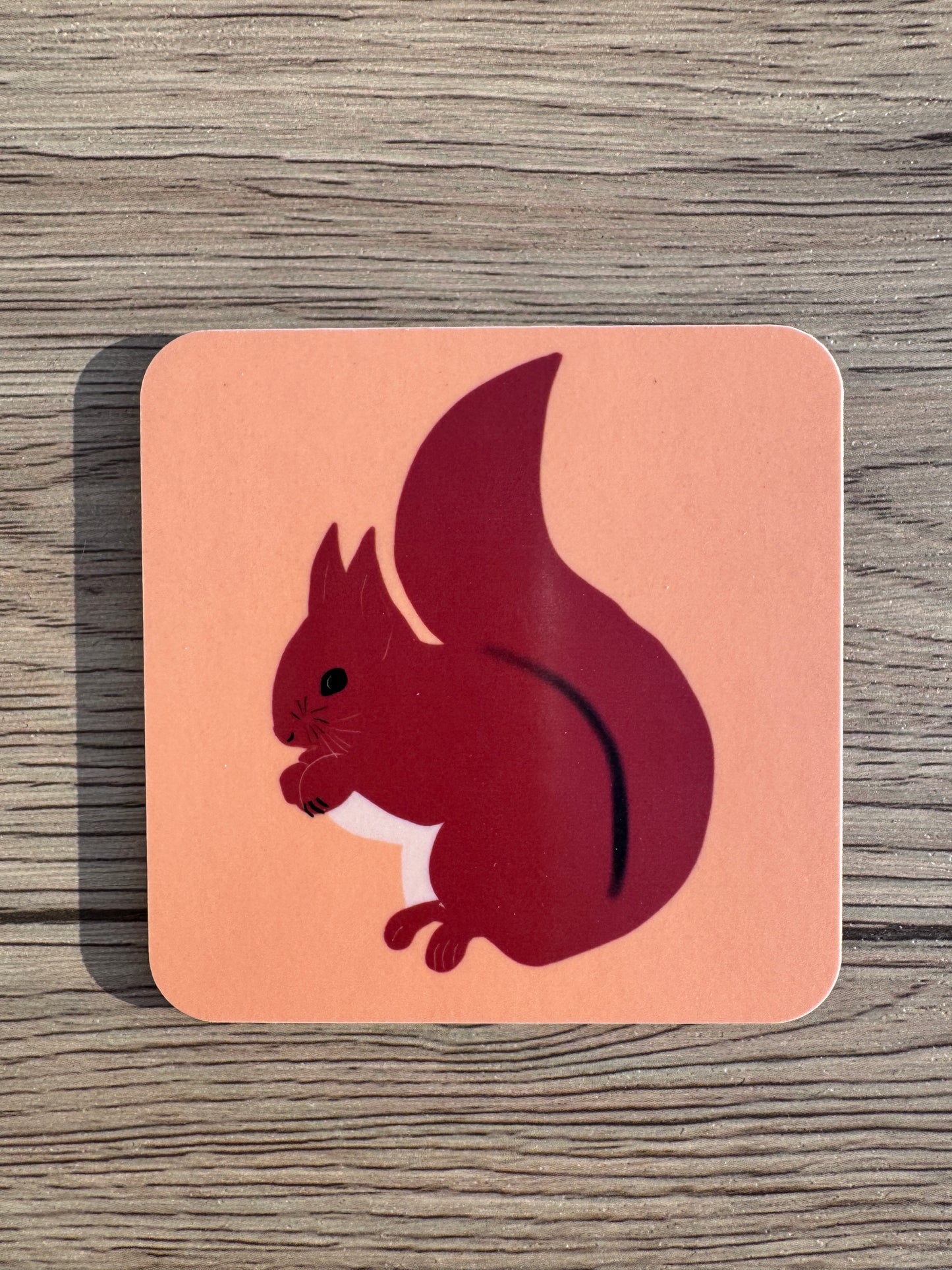Red Squirrel Coaster