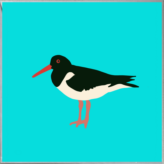 Oystercatcher Design Blank Greeting Card